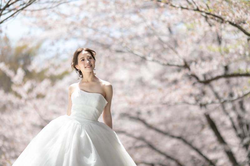 【Studio Clori.】桜シーズンまで後少し！ 〜桜×ドレス〜