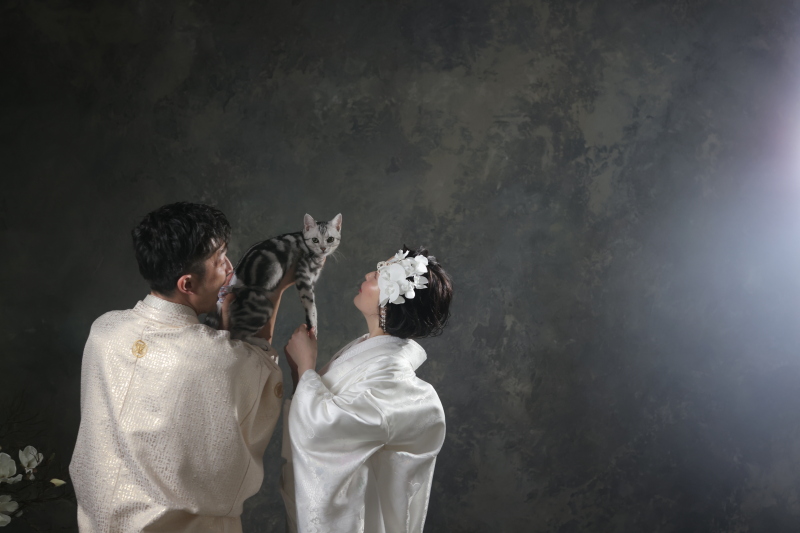 【StudioClori.】みなさま、猫の魅力をご存知ですか?
