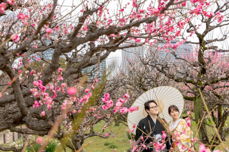 【studio clori.】梅林in大阪城公園
