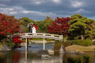 【studio clori.】大仙公園での撮影