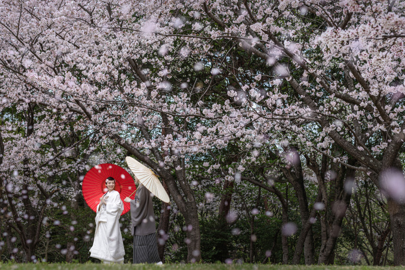 【祝!受賞記念★】ASIA WPA にて当スタジオのカメラマンが受賞しました!