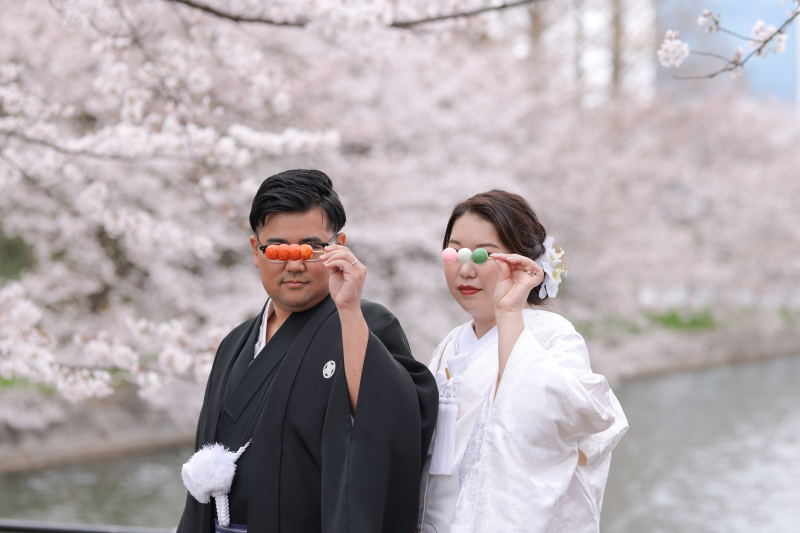 最新！大阪城公園の桜×白無垢