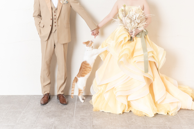 ペットとの撮影 大歓迎です♪ ‐愛猫編‐