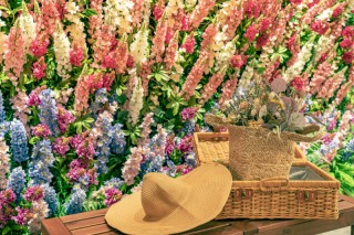 撮影バリエーションが増える☆~無料撮影アイテム編①~