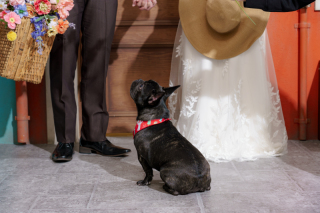 \こだわりポイント/ペットと撮影♪