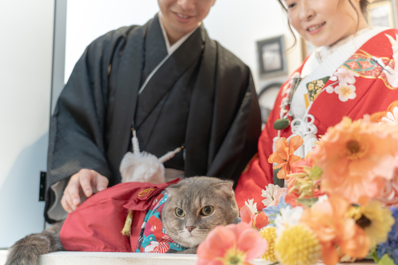  Dears Picturesはペットとの撮影が可能なスタジオです！　～愛猫編～