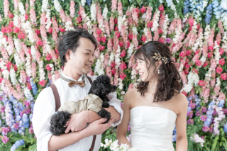 ペットとの撮影ができるスタジオです♪　‐愛犬編‐