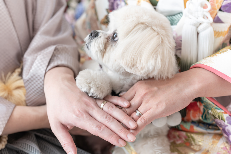 ペットとの撮影ができるスタジオです♪ ‐愛犬編‐