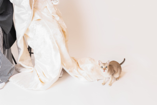 更新情報♪　－撮影レポートー