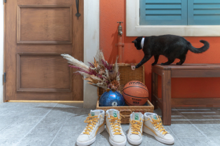 ペットとの撮影♬ ‐愛猫編‐