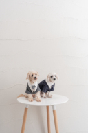 ペットとの撮影♬ ‐愛犬編‐