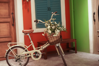 ＼*＊無料撮影アイテムのご紹介②*★