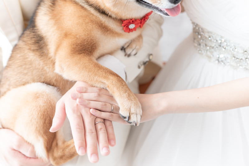 ペットとの撮影 大歓迎です♪ ‐愛犬編‐