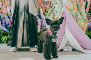 お客様からのお声♪　～Dears Pictures 撮影体験談～