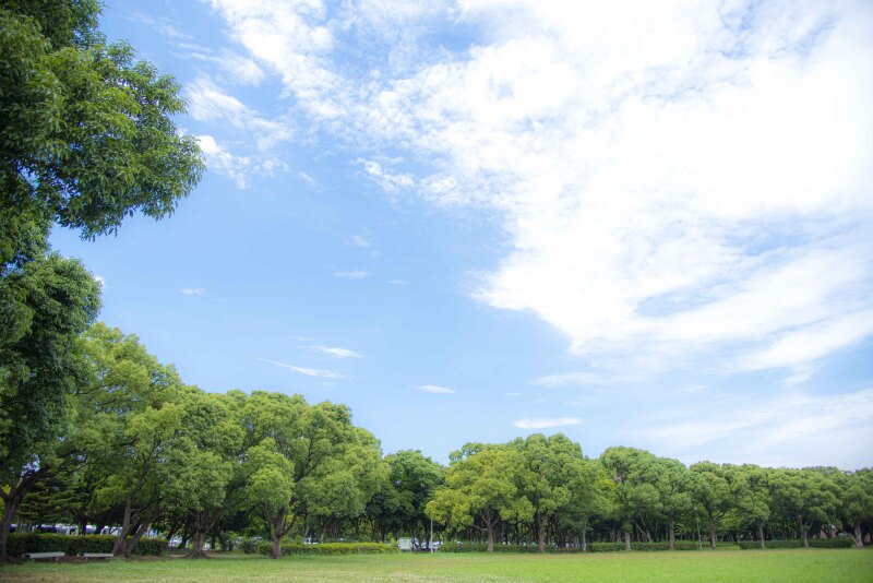 撮影スポット✽.。.:*・゚千葉ポートパーク