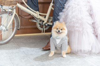 ペットとの撮影　大歓迎です♪　‐愛犬編‐