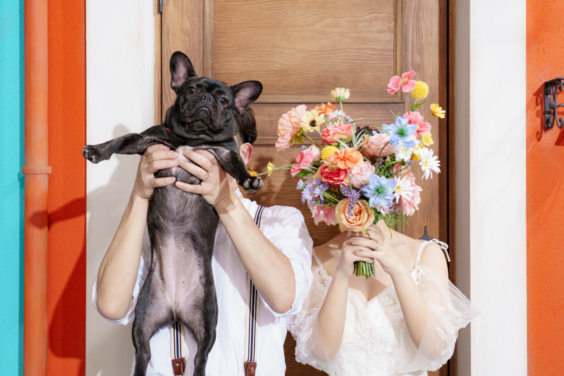 大切な家族の一員 ペットと一緒の撮影ができます!ー愛犬編ー