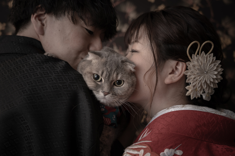  Dears Picturesはペットとの撮影が可能なスタジオです！　～愛猫編～