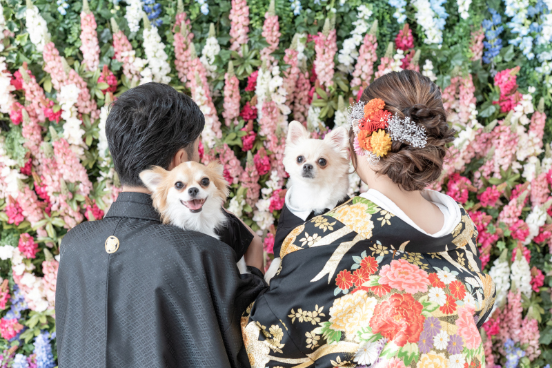 ペットとの撮影ができるスタジオです♪ ‐愛犬編‐