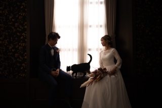 Dears Picturesはペットと撮影ができるスタジオです！－愛猫と一緒に－