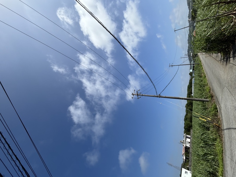 台風がさりまして、、、、、