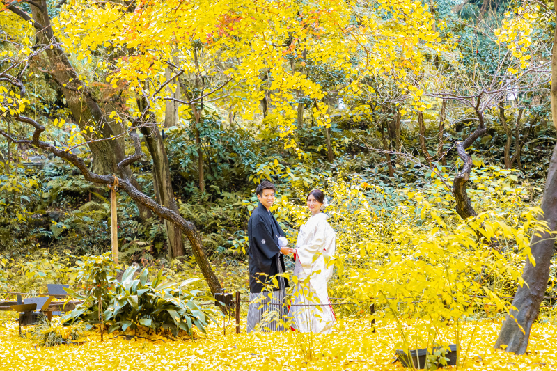 秋の紅葉ロケーション撮影《ご予約はお早めに！》