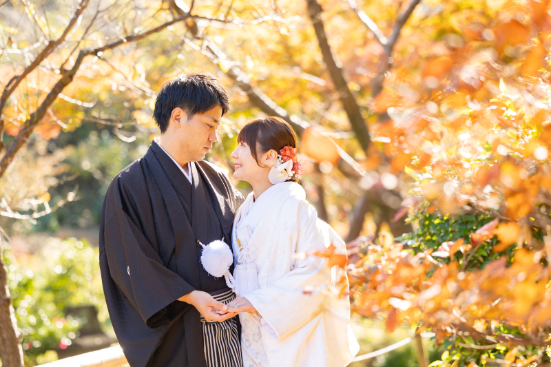 白無垢が引き立つ三溪園の紅葉スポット