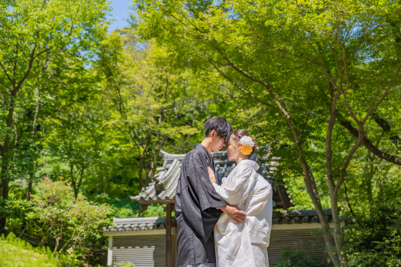 人気の『三渓園』一挙ご紹介❣❣