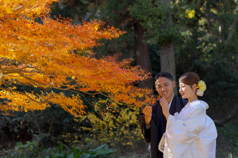 紅葉に包まれる三渓園で和装前撮りをする魅力とは?