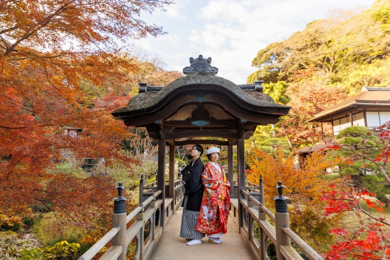 色打掛と晩秋の景色が引き出す華やかさ