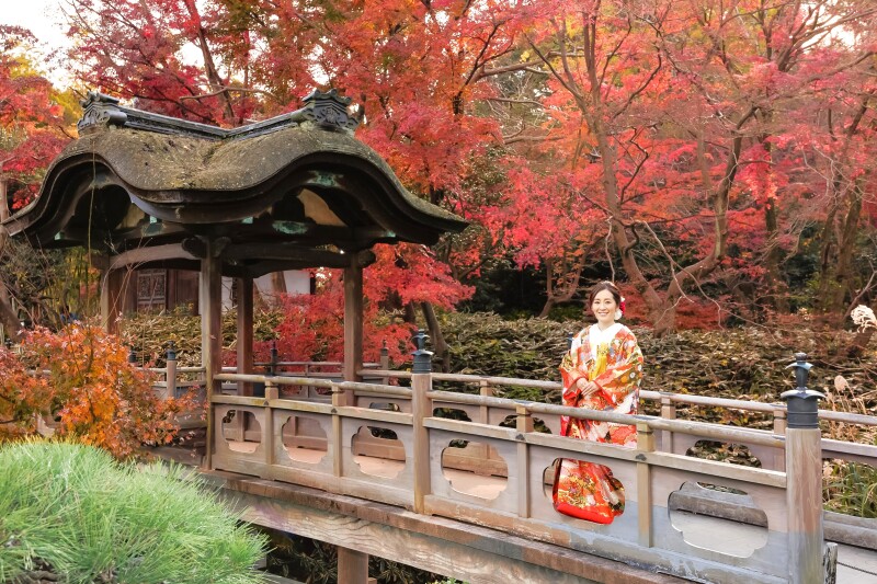 【秋の紅葉(こうよう)】和装ロケーション撮影《ご予約はお早めに!》