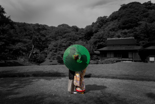 雨が降ったらどうなる?三渓園での撮影時に知っておきたい「雨天対応」完全ガイド!