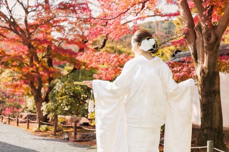 秋の紅葉ロケーション撮影《ご予約はお早めに！》