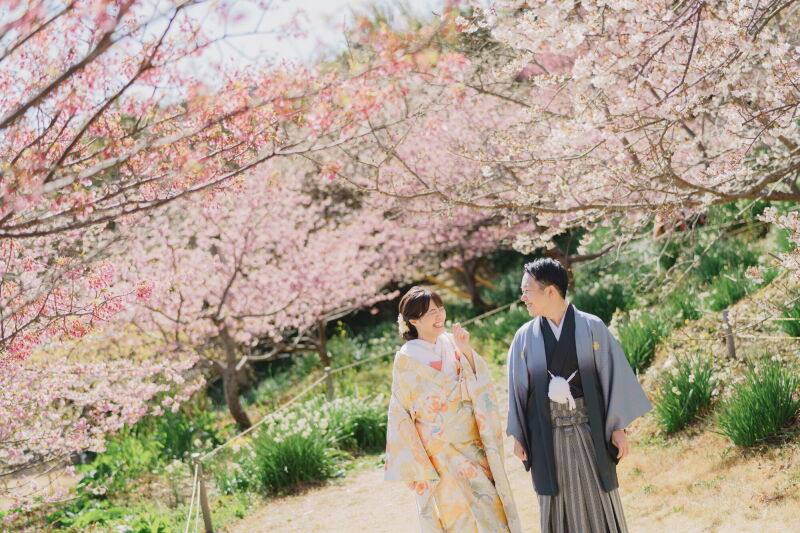 河津桜ロケーション撮影