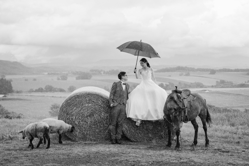 2025年のご愛顧に感謝申し上げます。