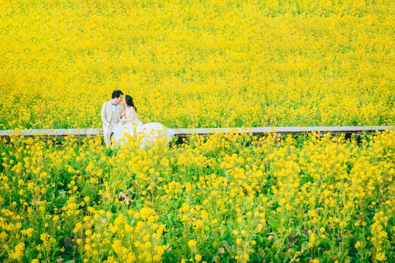 【ご予約残りわずか!!】期間限定河津桜プラン〜桜＋菜の花畑〜
