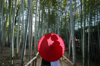 和装をロケーションで撮影してみませんか?