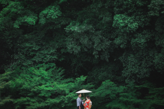 新緑の徳川園撮影