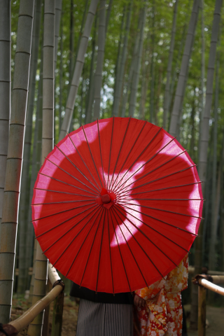 白鳥庭園ロケーション撮影