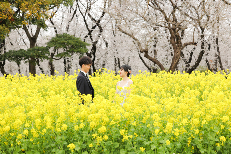 春の庄内緑地公園