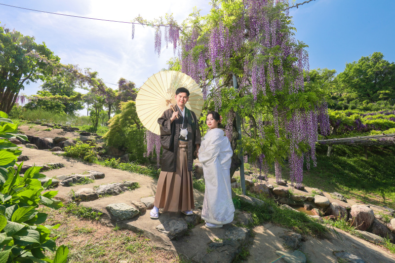 かざはやの里〜藤の花〜