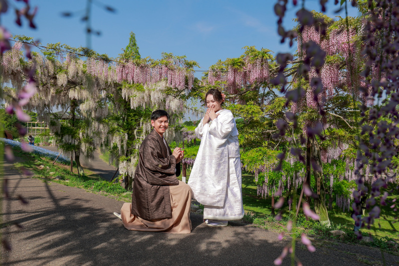 かざはやの里〜藤の花〜