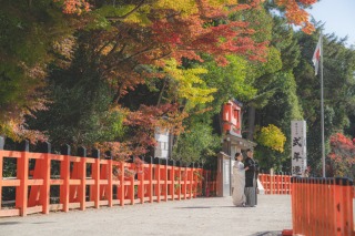 「そうだ京都、行こう」
