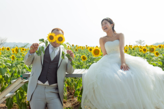 ひまわり〜あなただけを見つめる〜