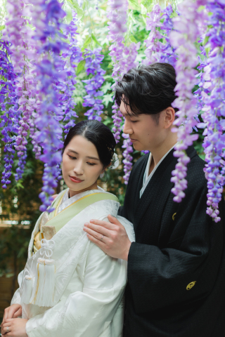 『NEW背景 藤の花』