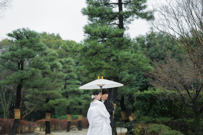 白鳥庭園撮影の魅力