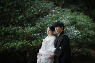 白鳥庭園撮影の魅力