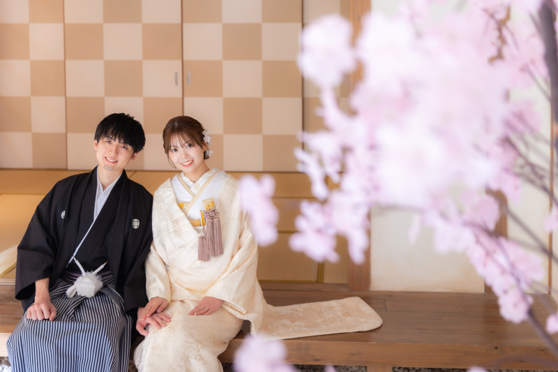 桜：屋内庭園スタジオ