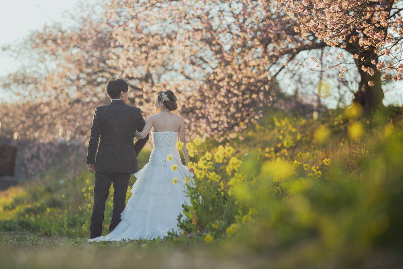河津桜ローケーション受付中！
