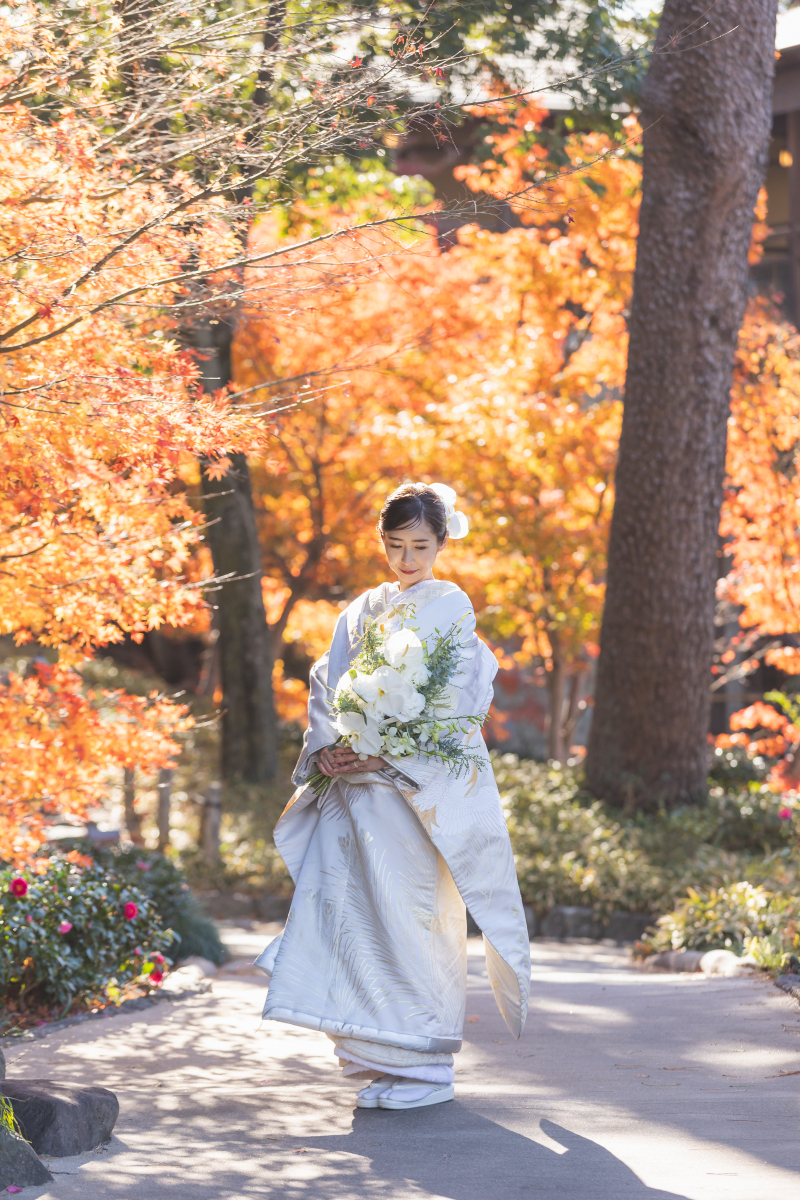 そろそろ紅葉ですね